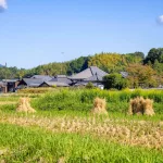 Asuka y Fujiwara, el lugar donde nació el Estado japonés, ya forman parte del Patrimonio Mundial de la UNESCO, nuevo lugar reconocido de Japón