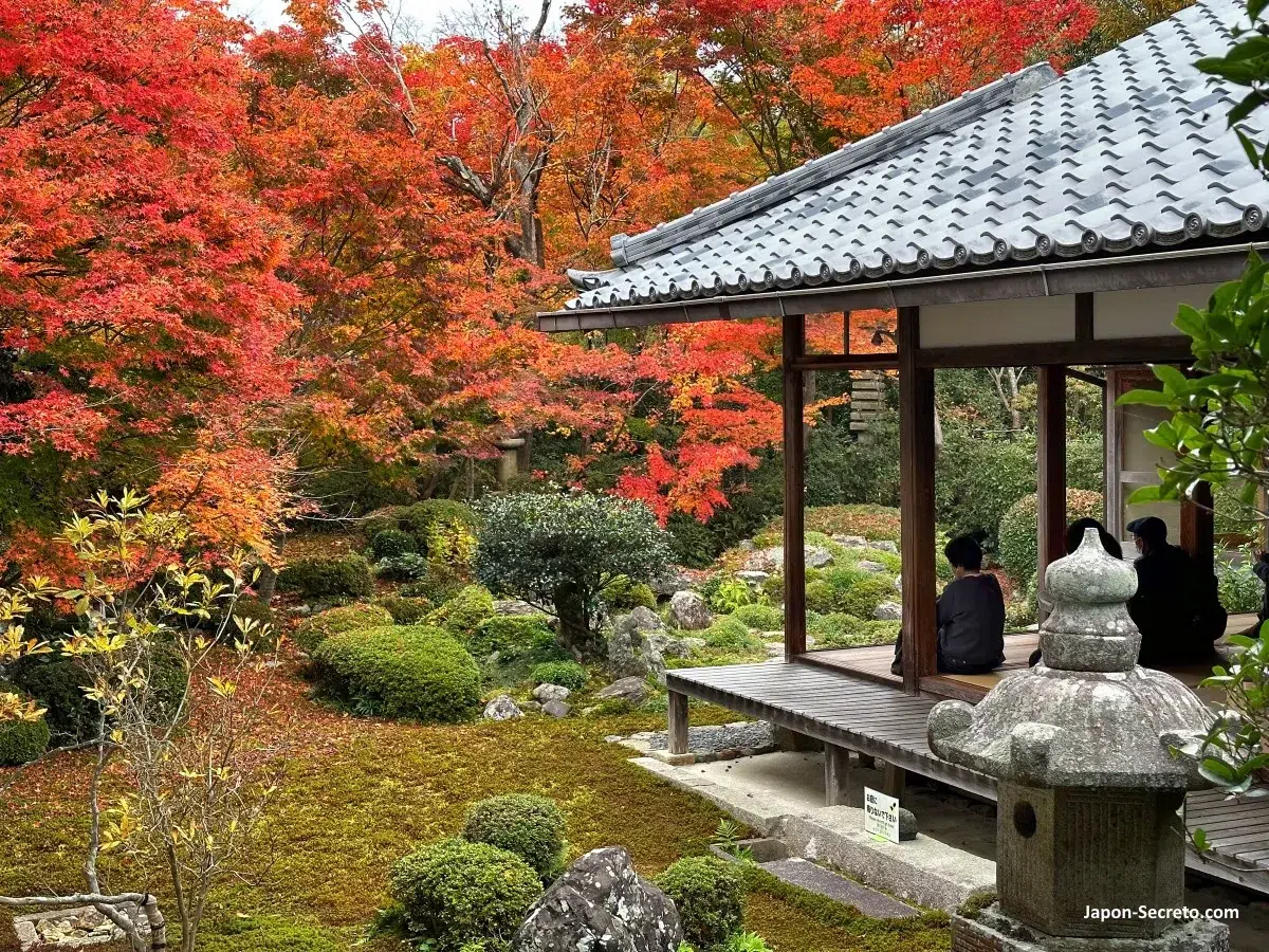 Contemplando los colores del otoño en el jardín interior del templo Genkōan (源光庵), en el distrito de Takagamine (鷹峯), al norte de Kioto