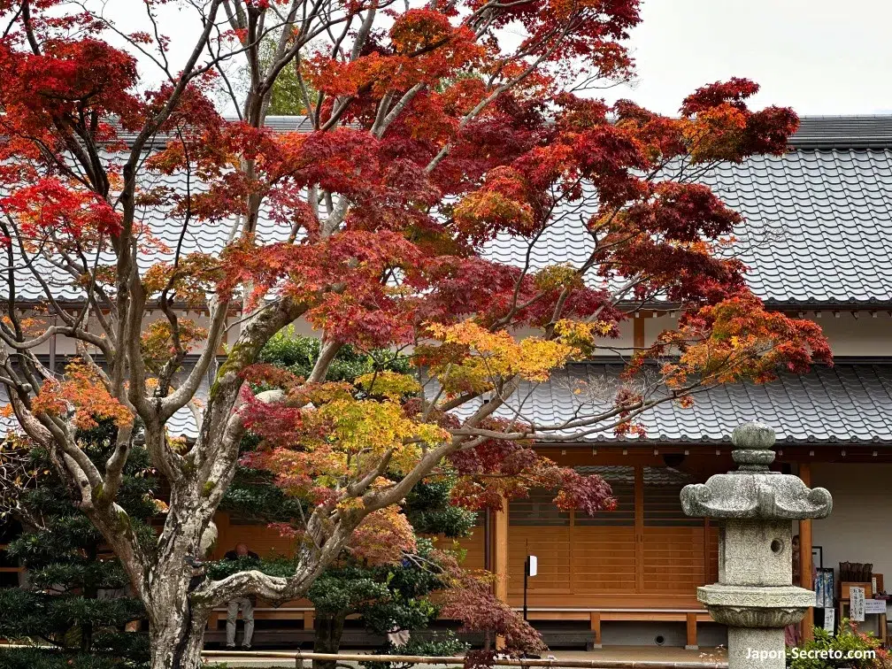 Colores del otoño en el templo Genkōan (源光庵), en el distrito de Takagamine (鷹峯), al norte de Kioto. Foto tomada en noviembre de 2022